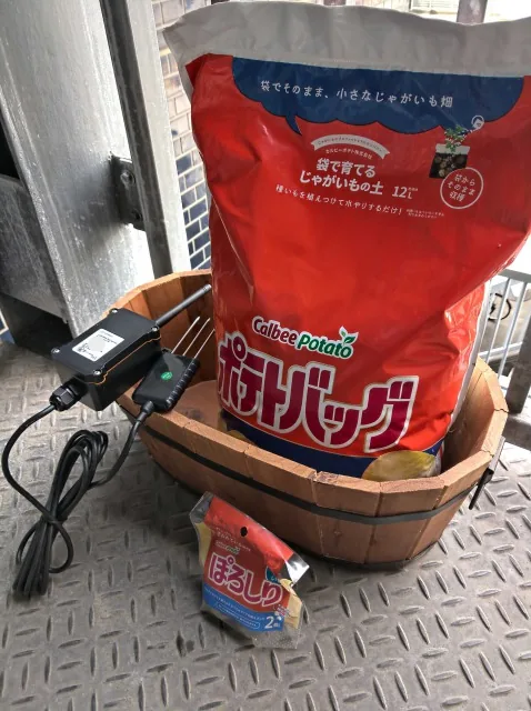 新年度、LoRaWANと共にジャガイモを育ててみる