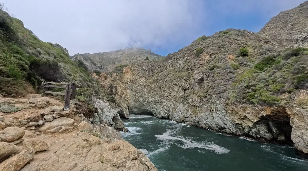 Partington Cove